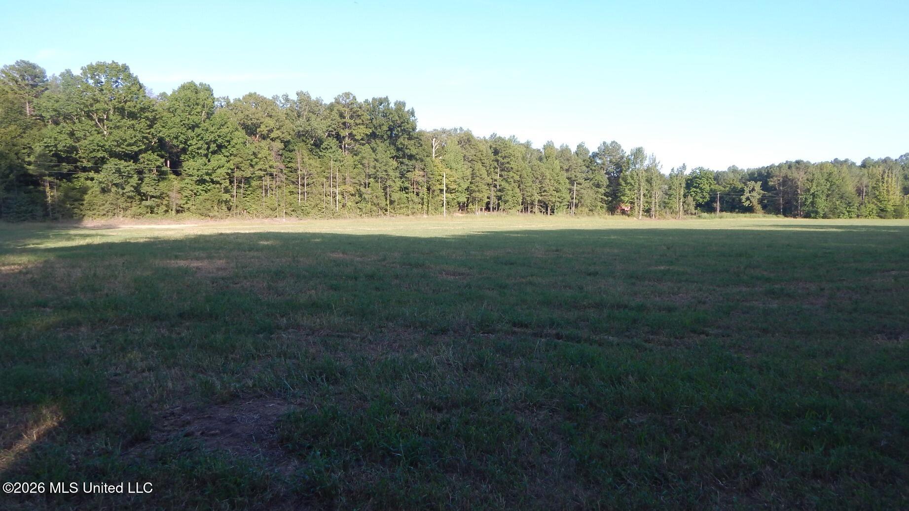 595 County Road 247 Property Photo 6