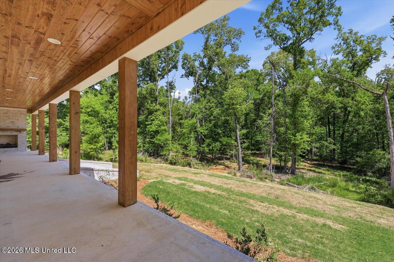 137 View Pointe Drive Property Photo 65
