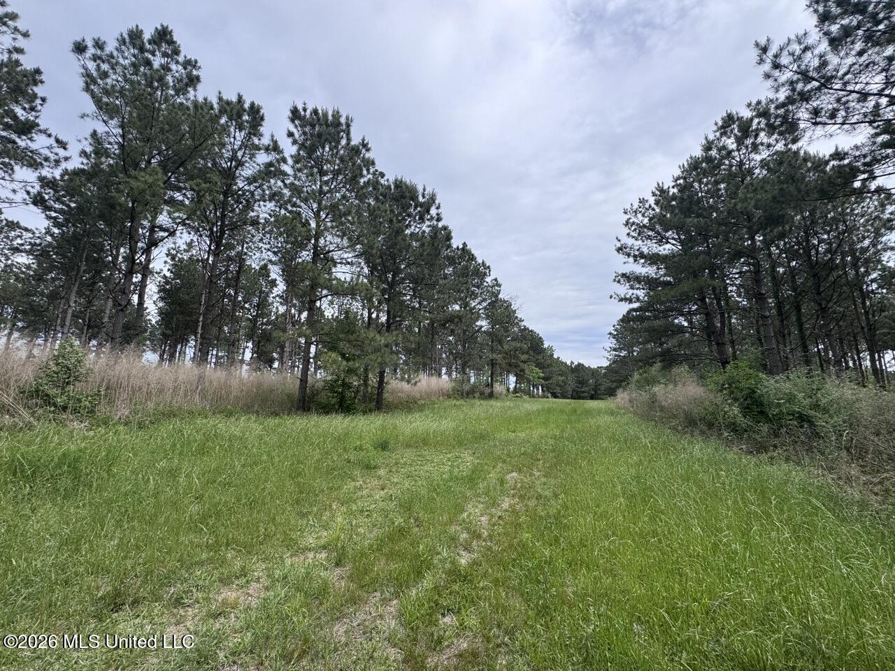 167 E West Morgan Property Photo 10