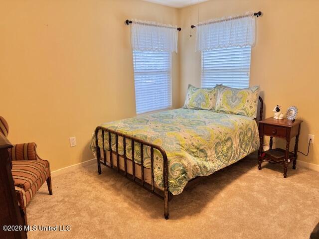 1009 Gerrits Landing Property Photo 16