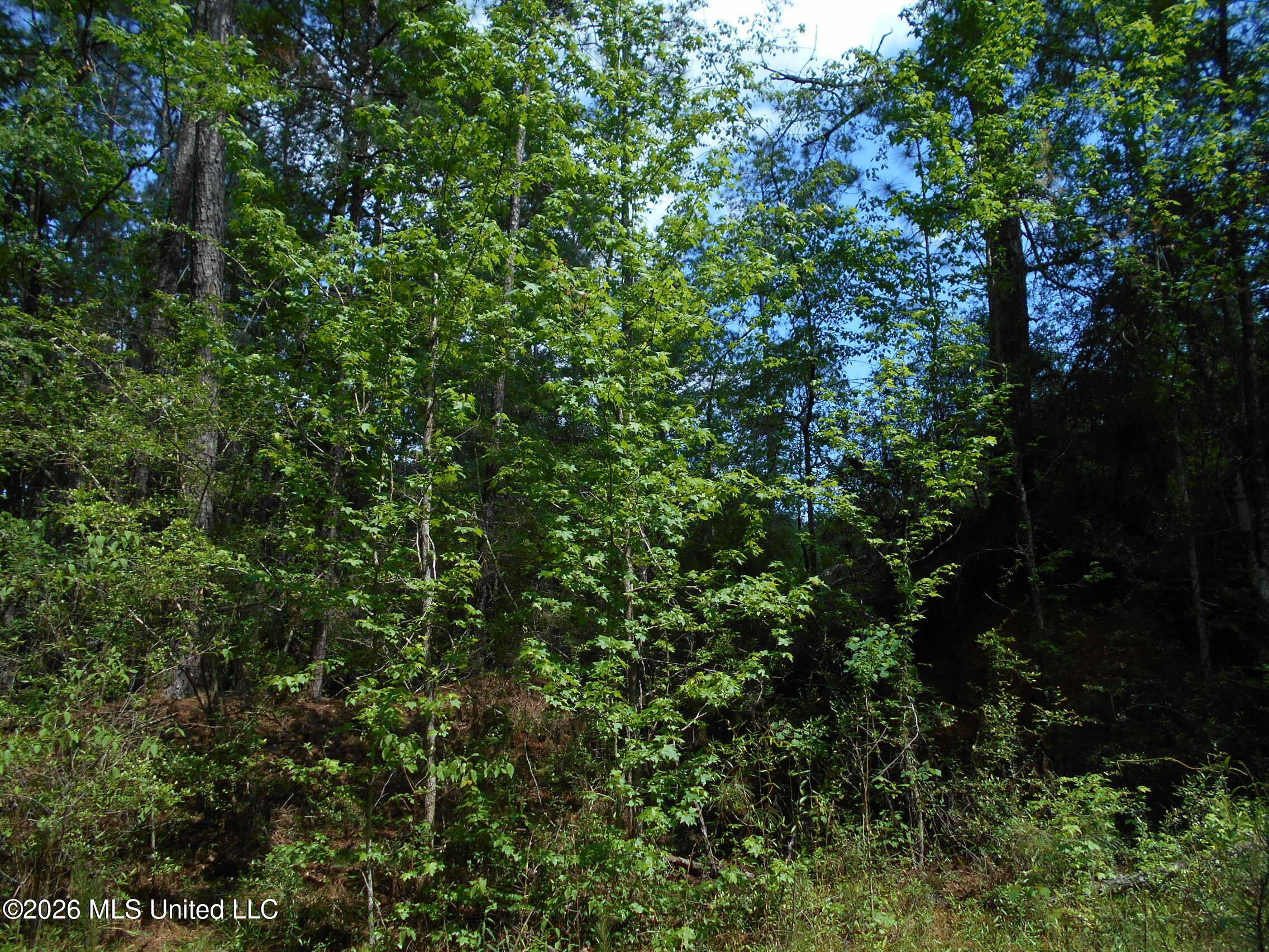 540 Highway 43 Property Photo 32