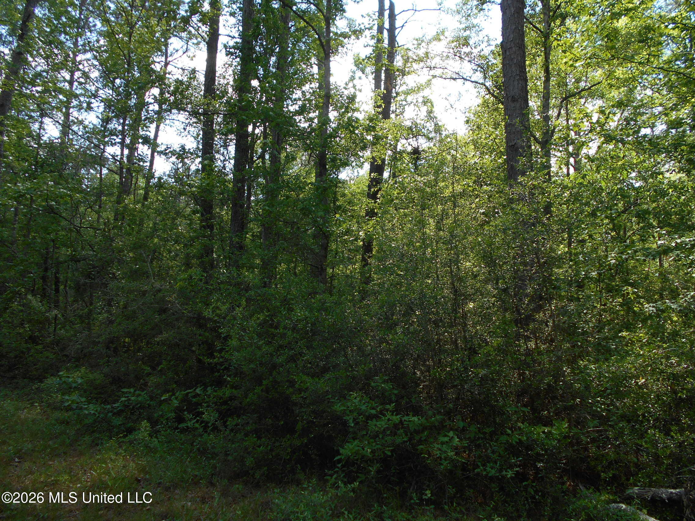 540 Highway 43 Property Photo 33