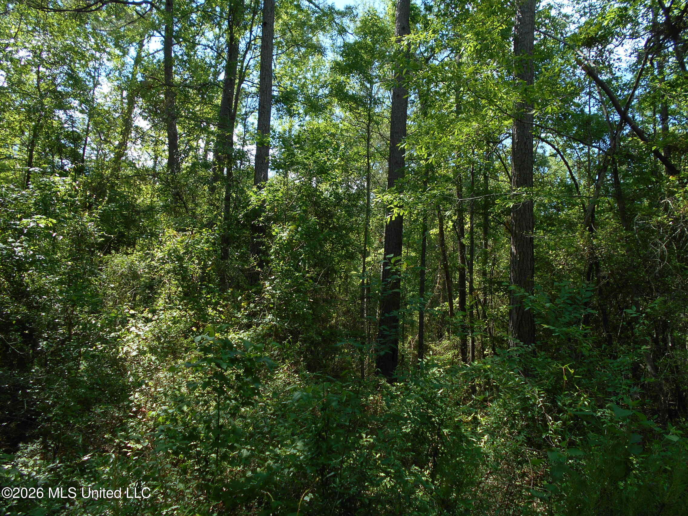 540 Highway 43 Property Photo 34