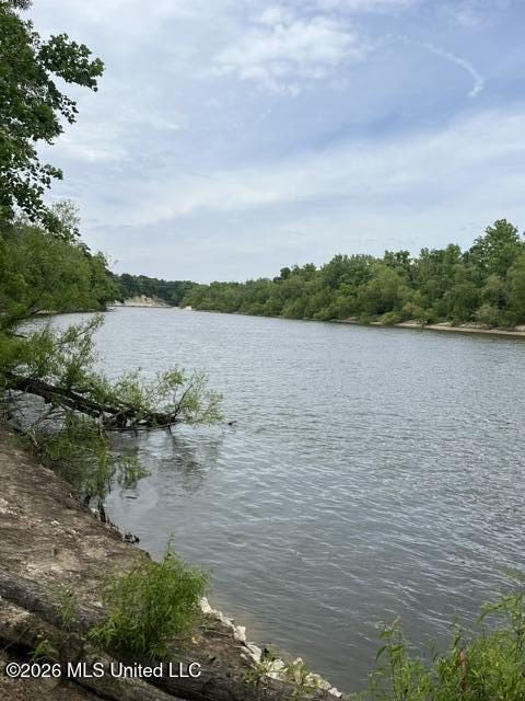 30.14 Acre Highway 57 Property Photo 2
