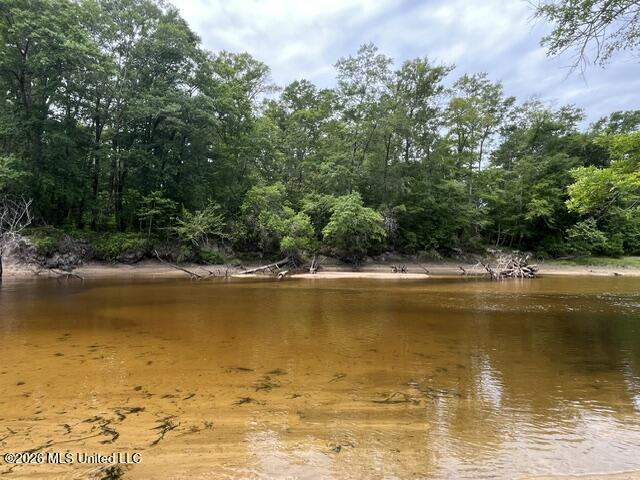 30.14 Acre Highway 57 Property Photo 3