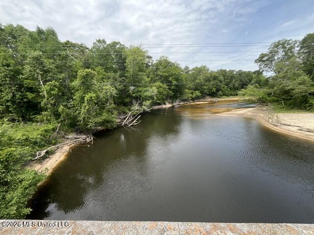 30.14 Acre Highway 57 Property Photo 4