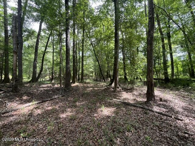 30.14 Acre Highway 57 Property Photo 5