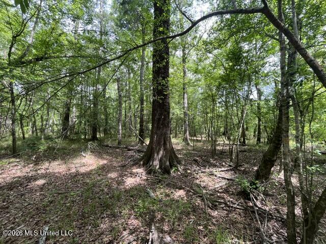 30.14 Acre Highway 57 Property Photo 6