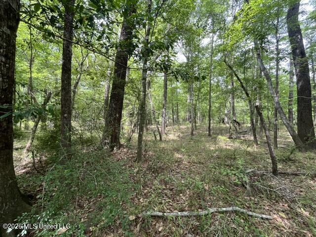 30.14 Acre Highway 57 Property Photo 7