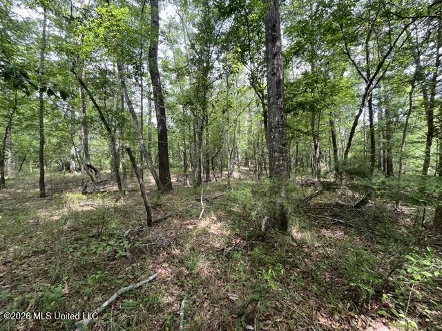 30.14 Acre Highway 57 Property Photo 8