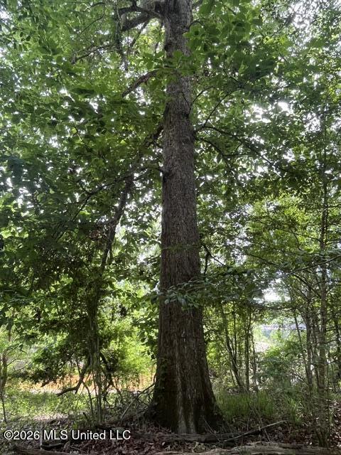 30.14 Acre Highway 57 Property Photo 9
