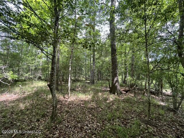 30.14 Acre Highway 57 Property Photo 10