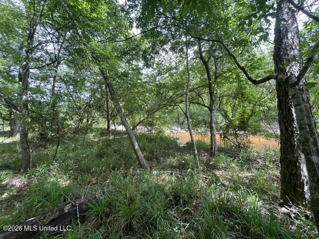 30.14 Acre Highway 57 Property Photo 11