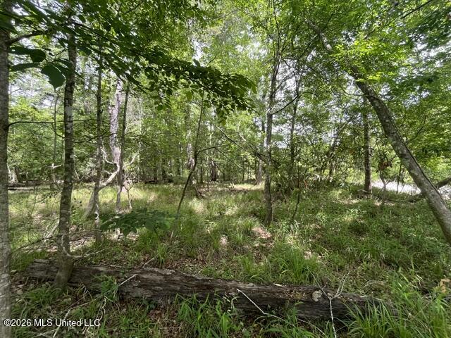 30.14 Acre Highway 57 Property Photo 12