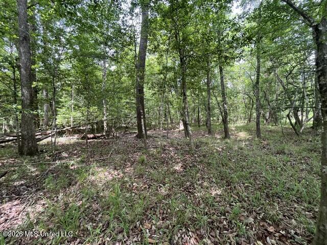 30.14 Acre Highway 57 Property Photo 13