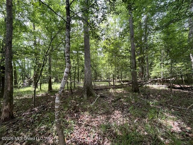 30.14 Acre Highway 57 Property Photo 14