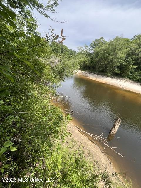 30.14 Acre Highway 57 Property Photo 15