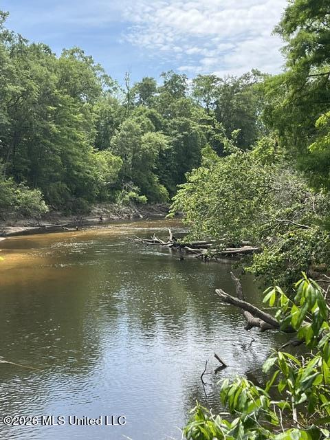 30.14 Acre Highway 57 Property Photo 16