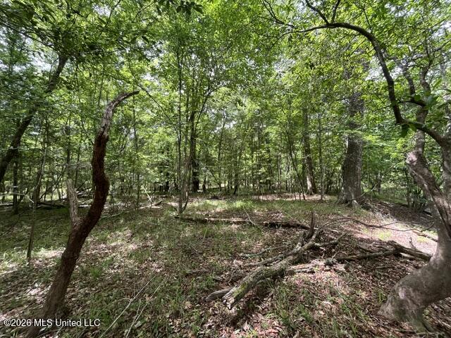 30.14 Acre Highway 57 Property Photo 17