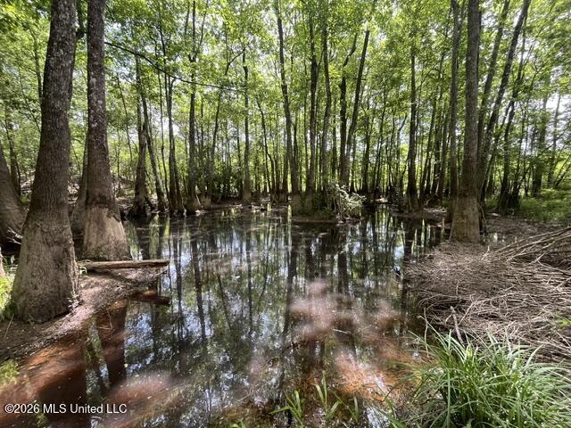 30.14 Acre Highway 57 Property Photo 18