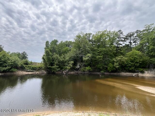 30.14 Acre Highway 57 Property Photo 19