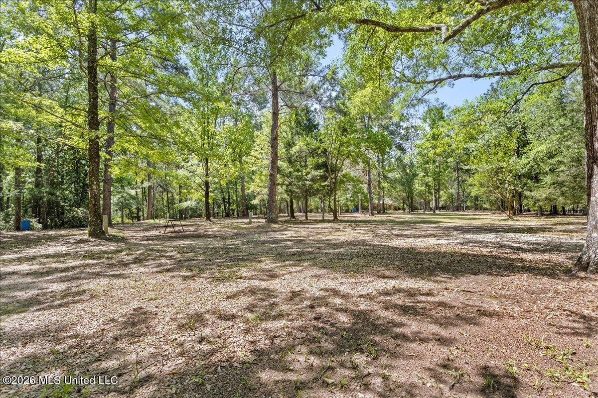 121 Cemetery Road Property Photo 41