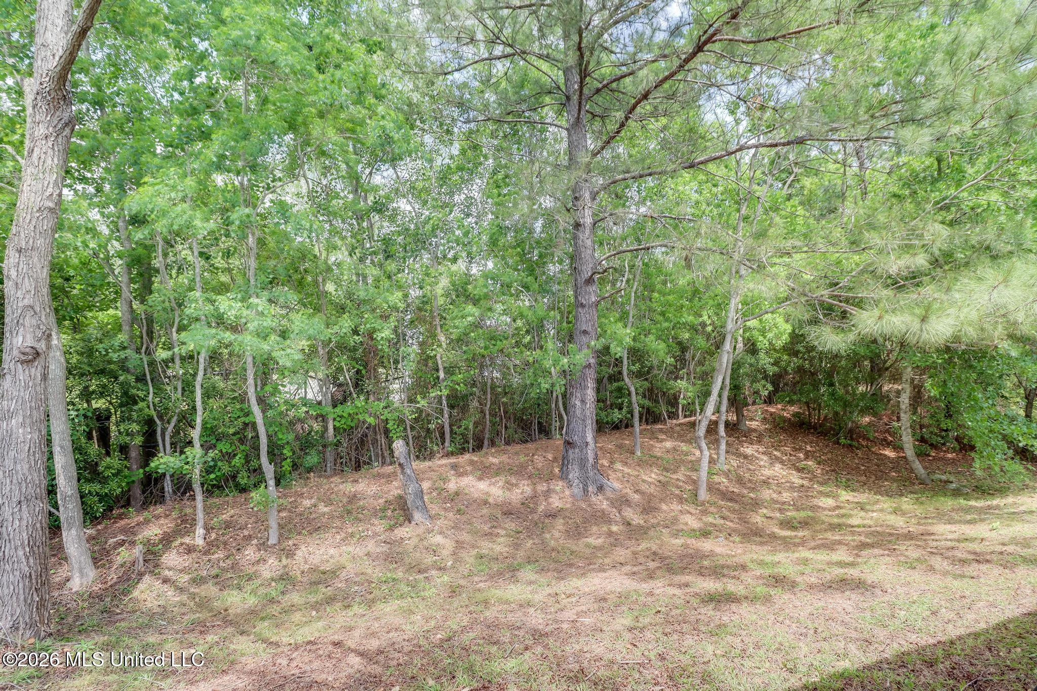 14124 Anandale Circle Property Photo 23