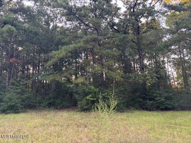 Lot #3 Park Place Property Photo 1
