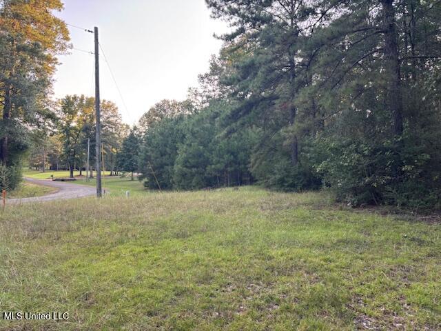 Lot #3 Park Place Property Photo 3