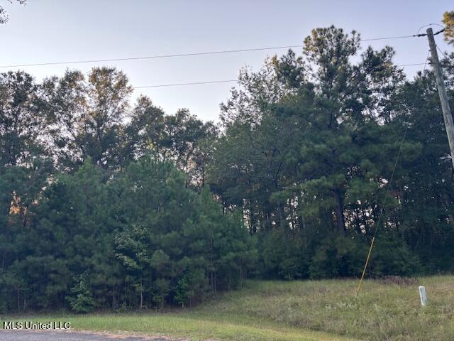 Lot #3 Park Place Property Photo 4