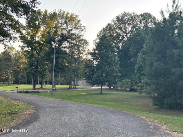 Lot #3 Park Place Property Photo 6