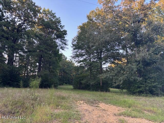Lot #3 Park Place Property Photo 8