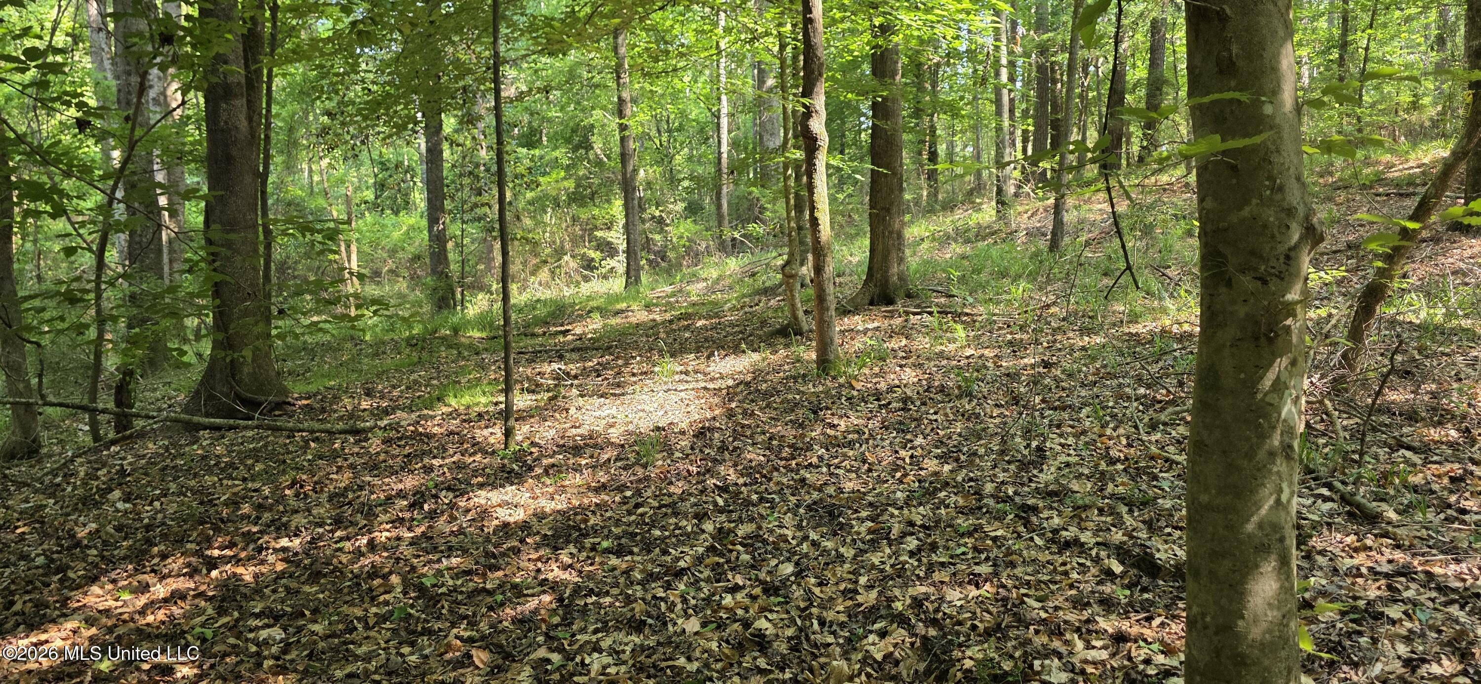 357 Se Nations Property Photo 13