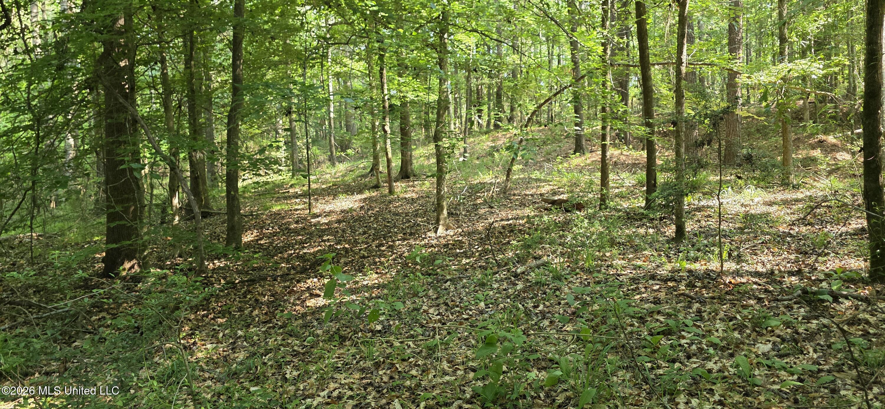 357 Se Nations Property Photo 18