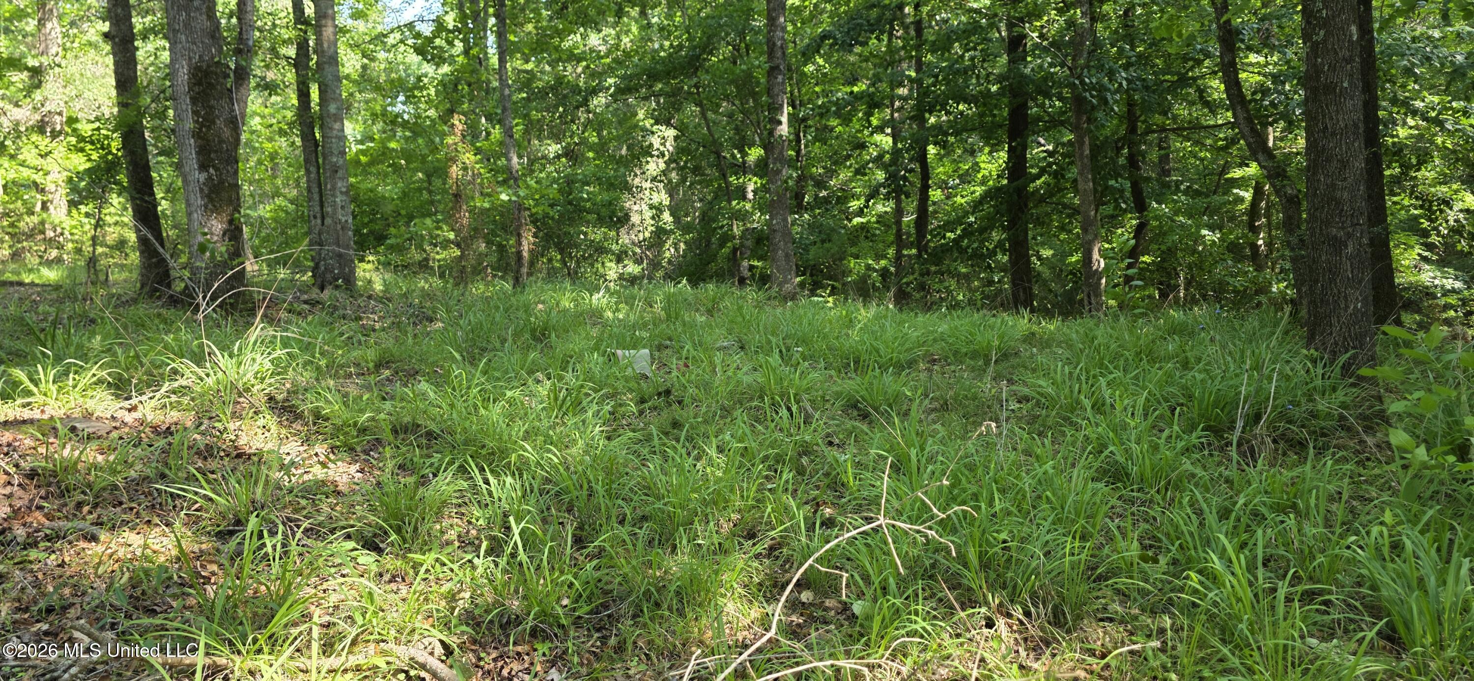 357 Se Nations Property Photo 63