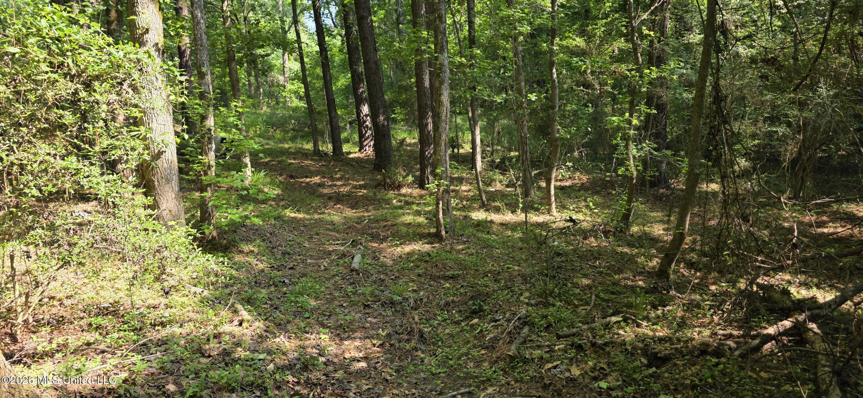 357 Se Nations Property Photo 64