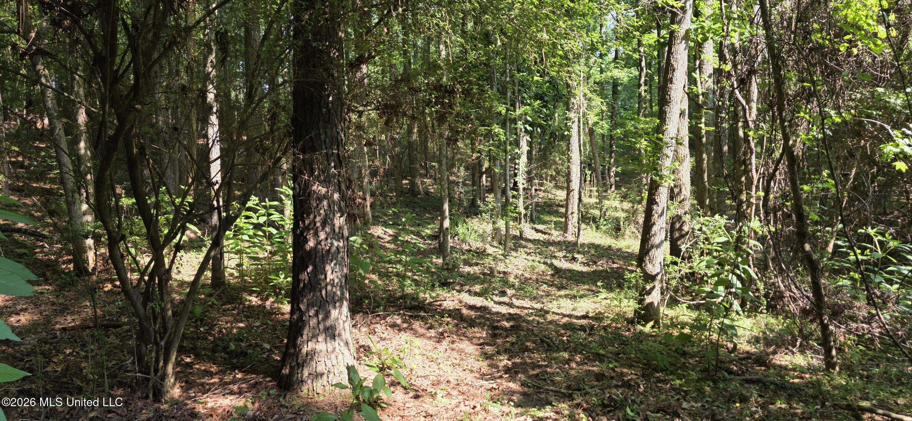 357 Se Nations Property Photo 66