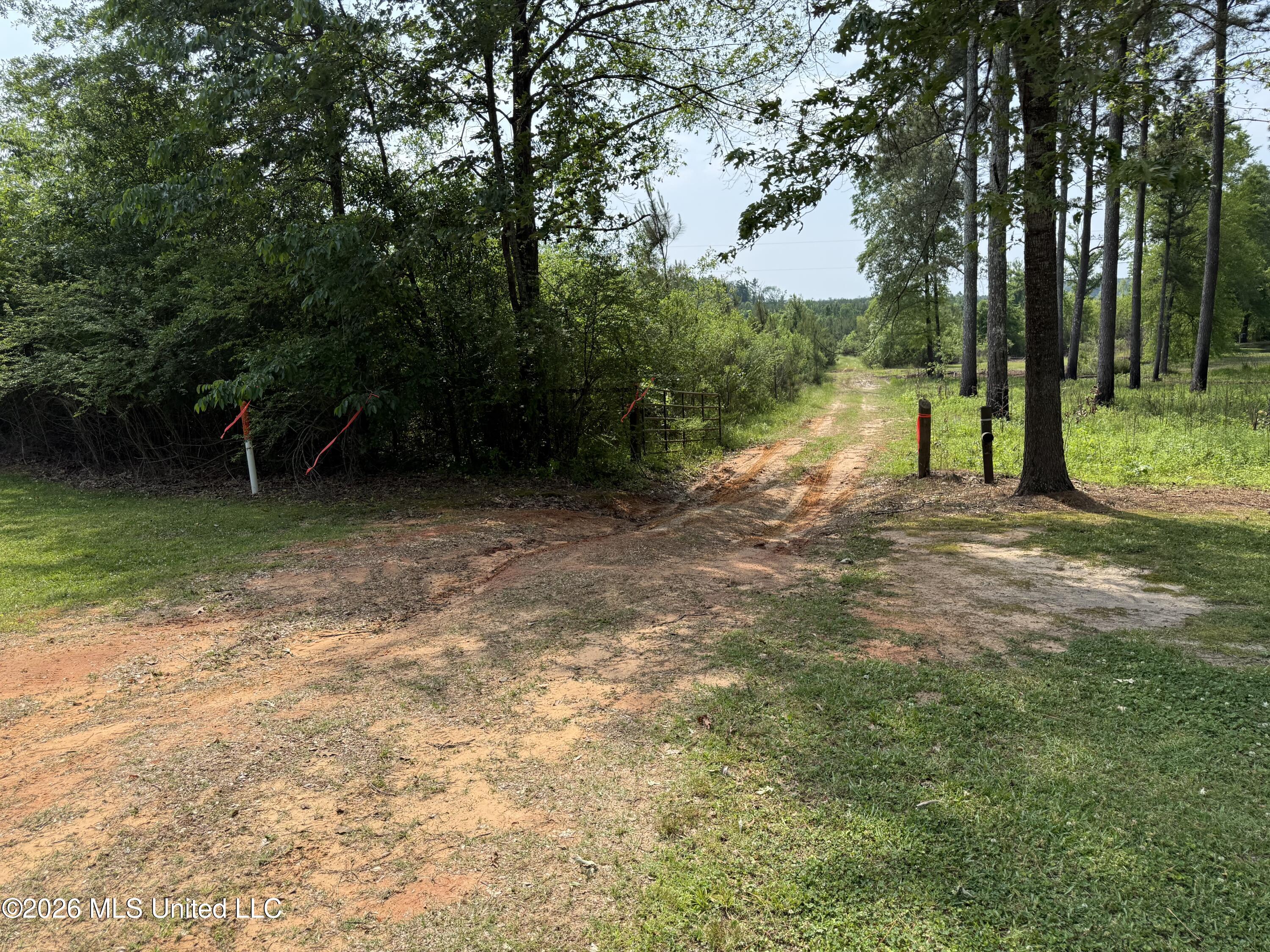Scales Road Property Photo 3