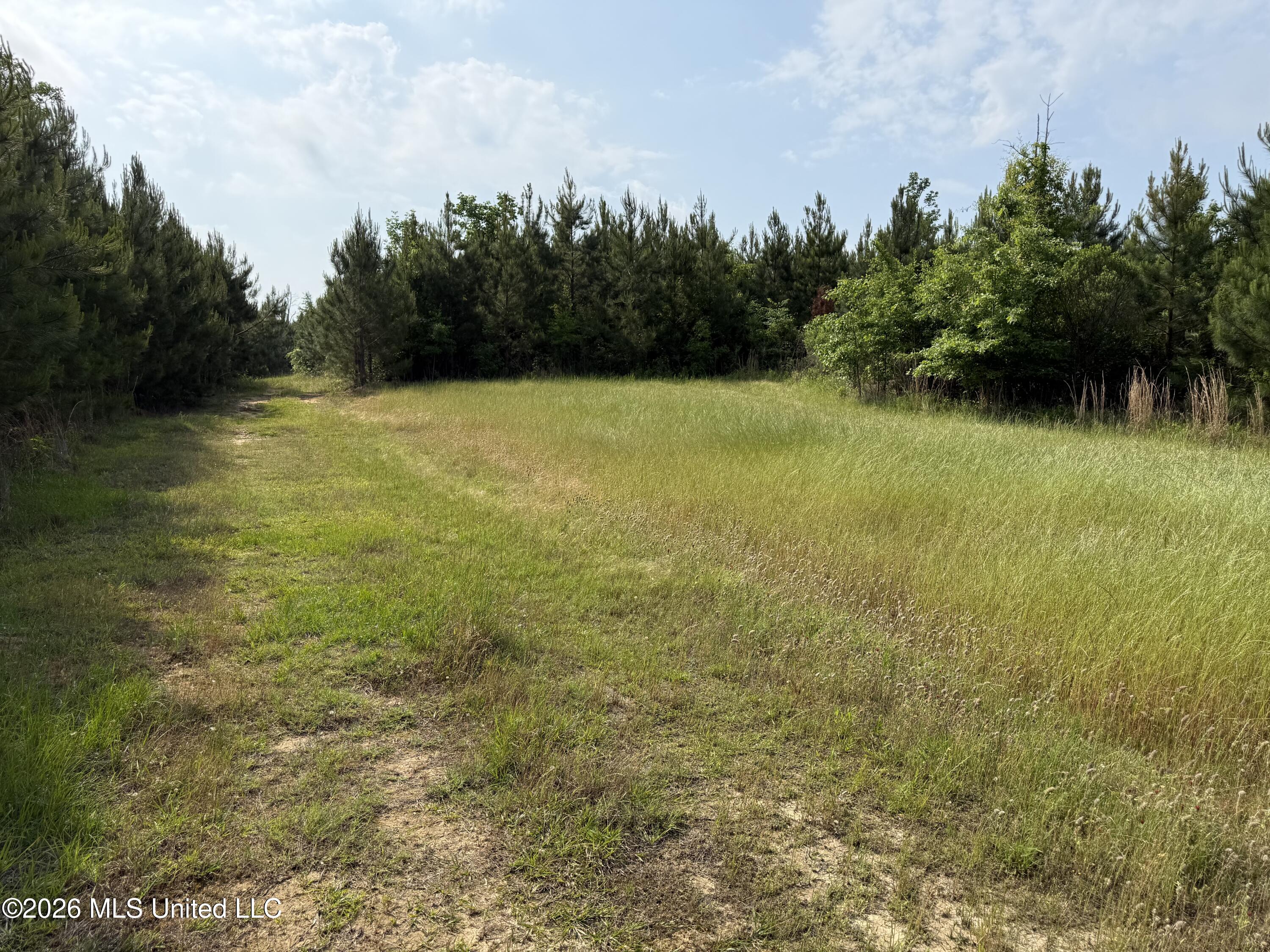 Scales Road Property Photo 4