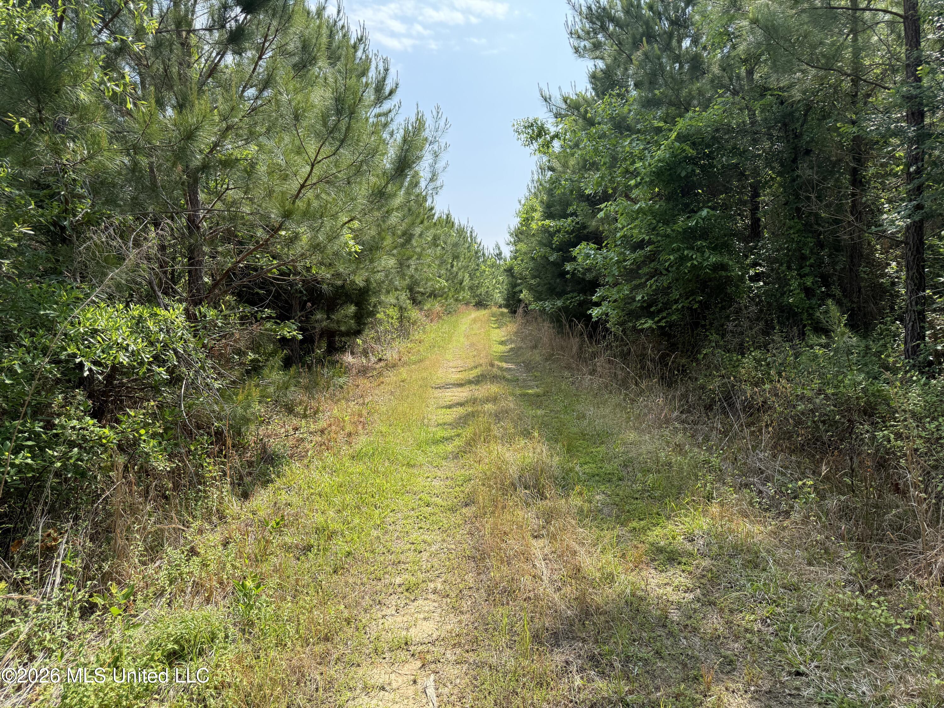Scales Road Property Photo 6