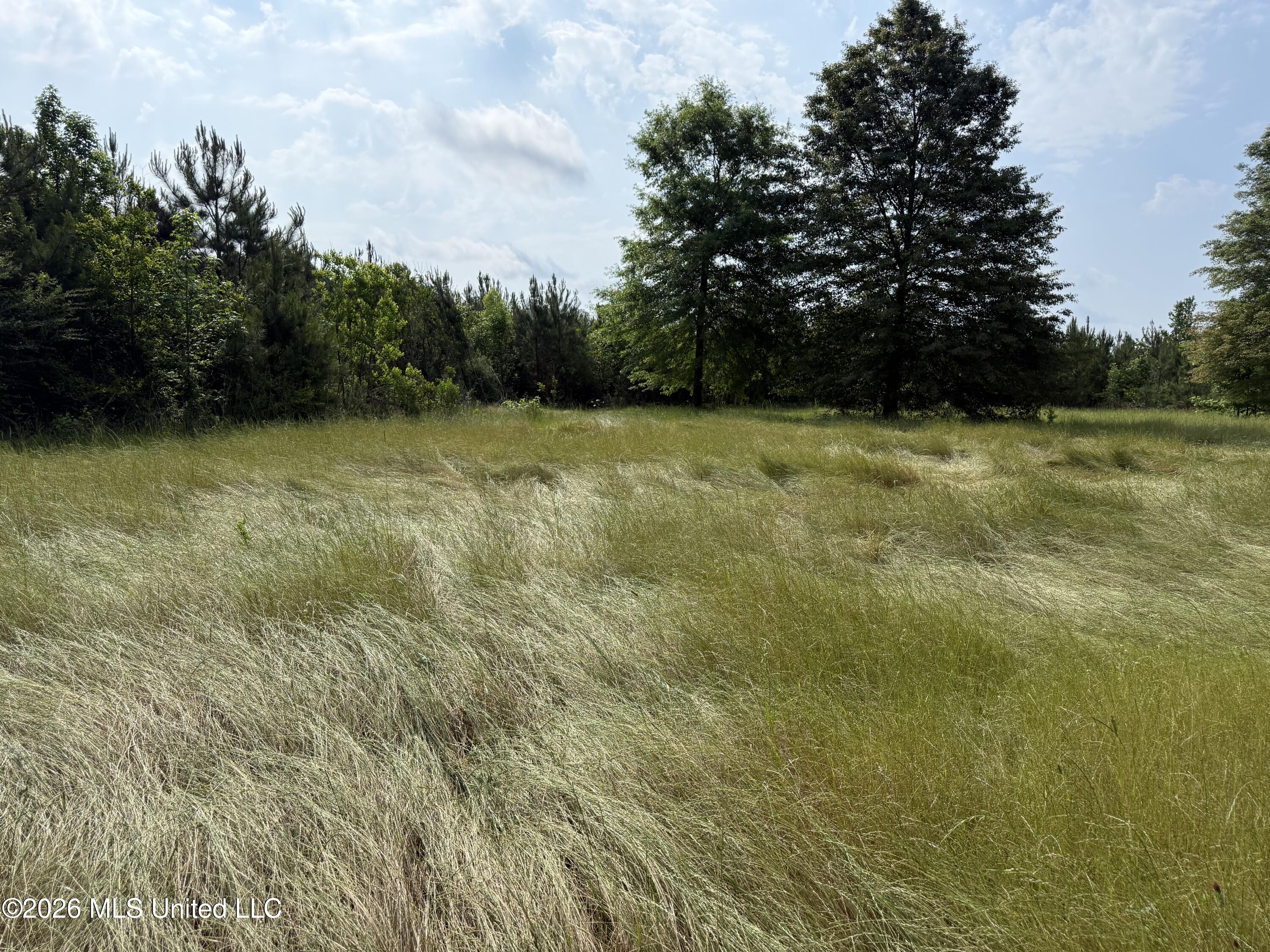Scales Road Property Photo 9