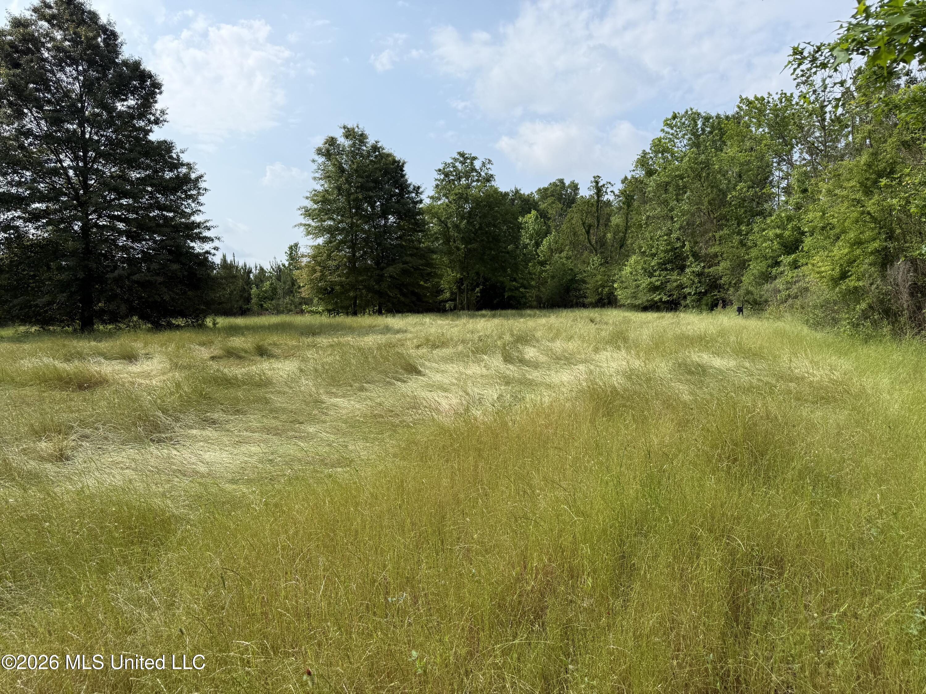 Scales Road Property Photo 10