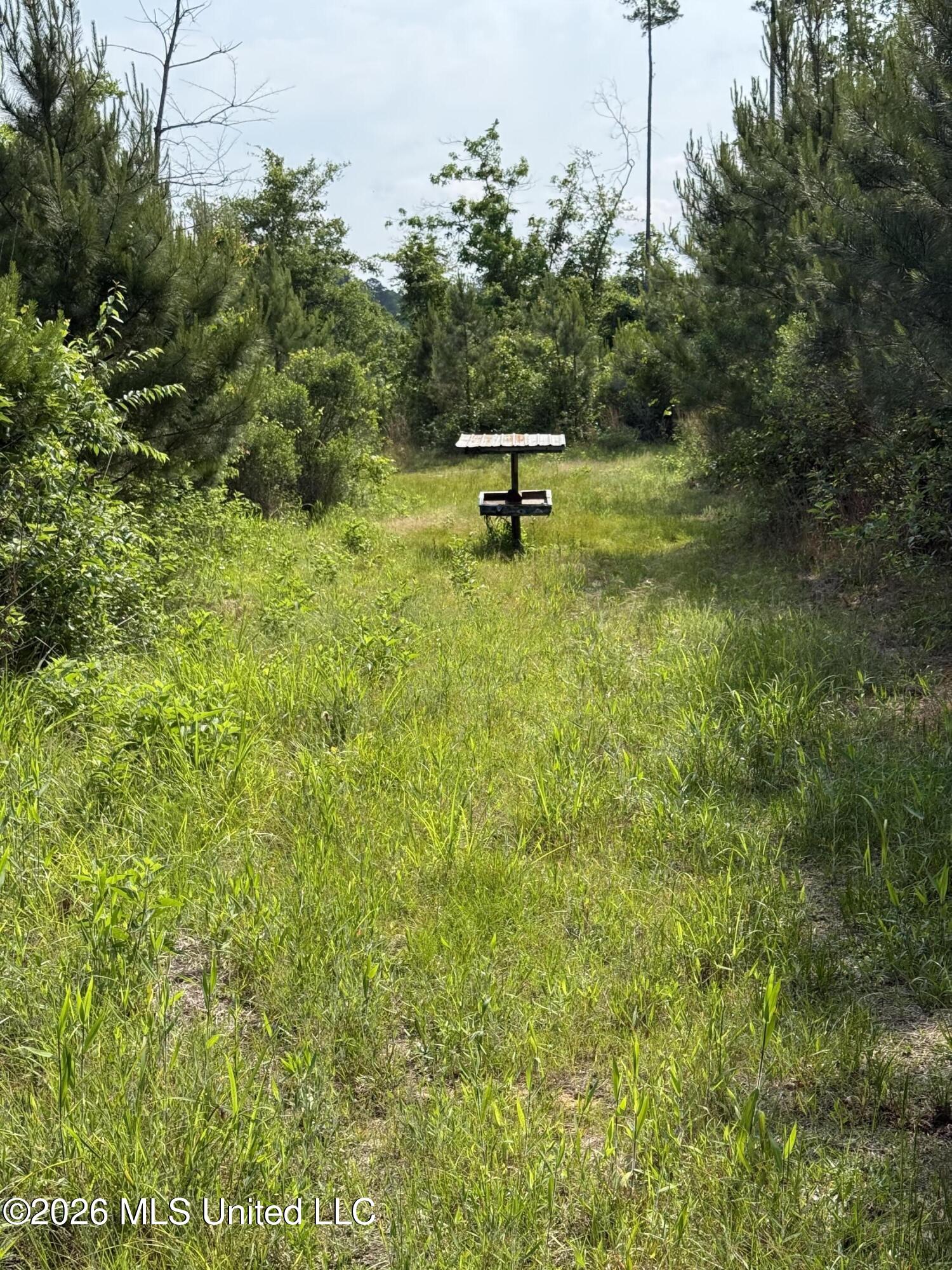 Scales Road Property Photo 11