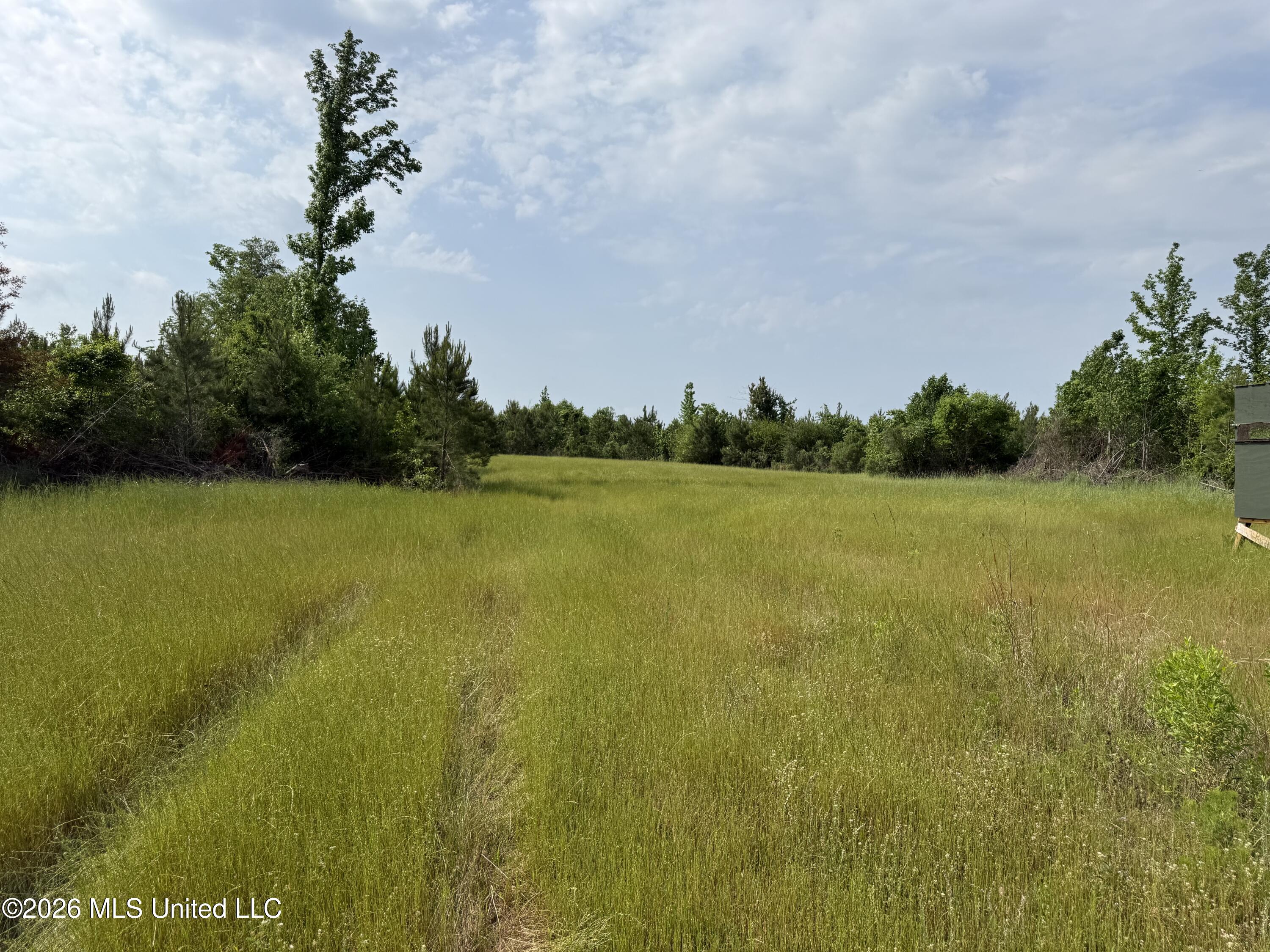 Scales Road Property Photo 12