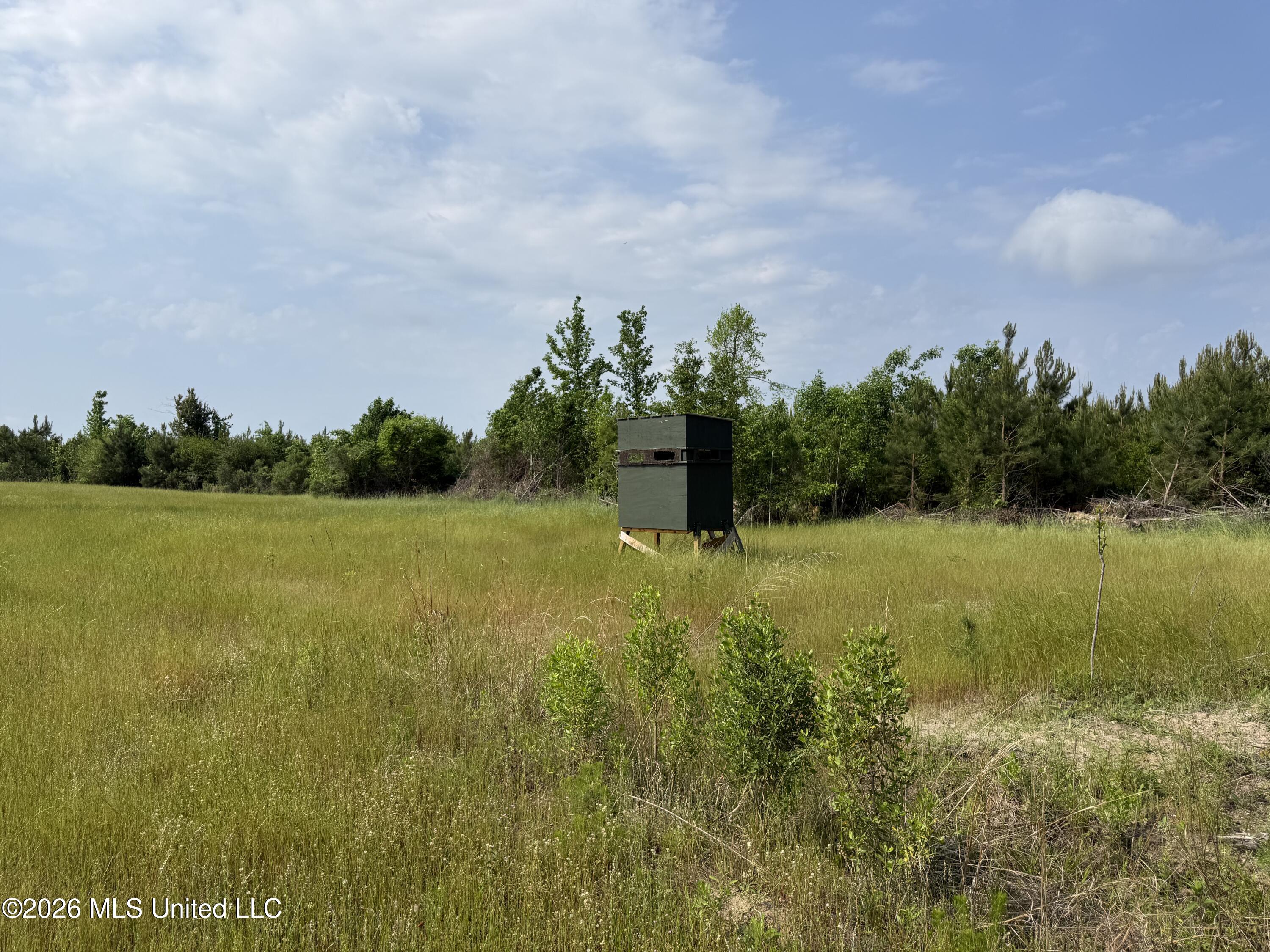 Scales Road Property Photo 13