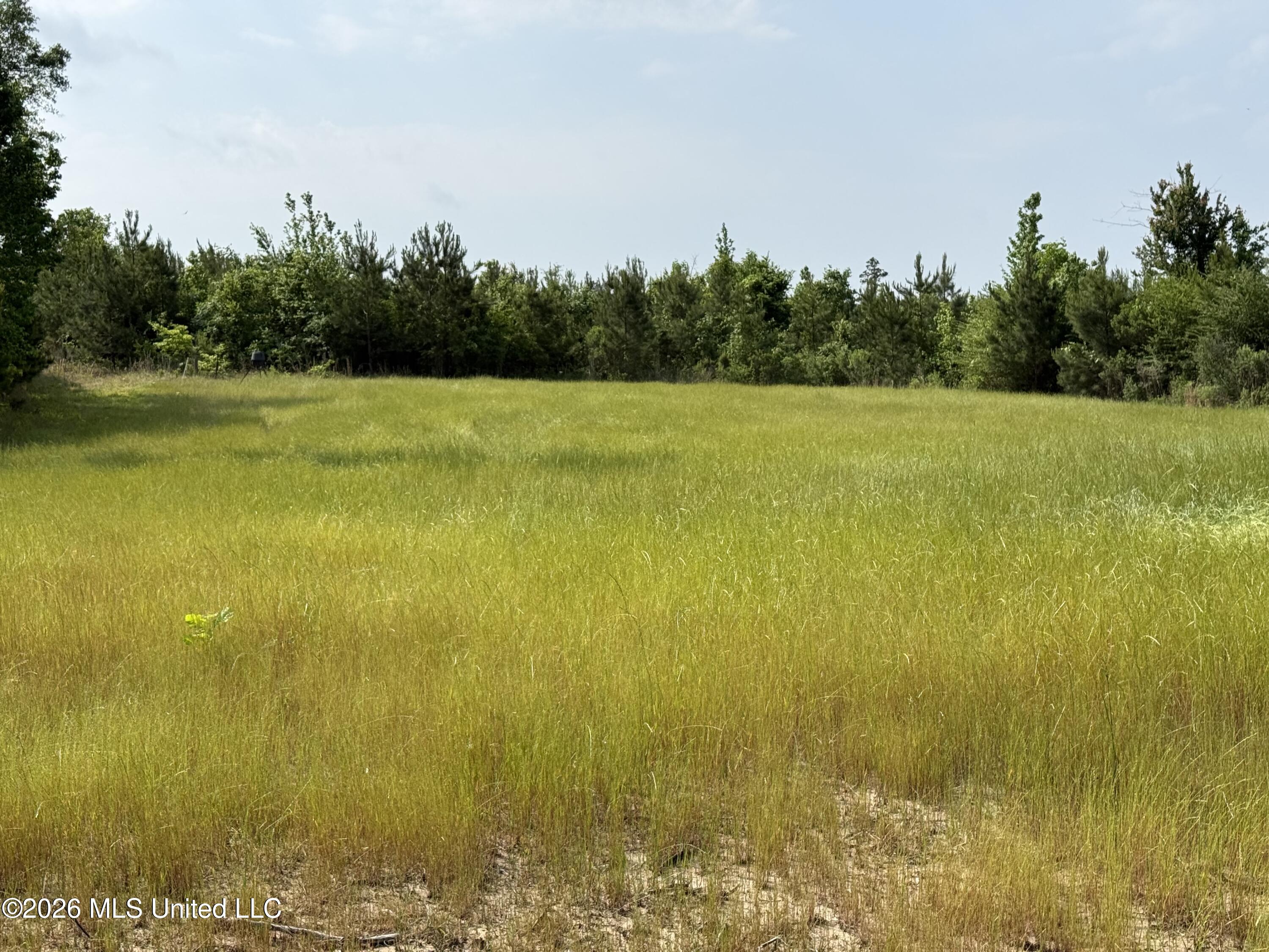 Scales Road Property Photo 14