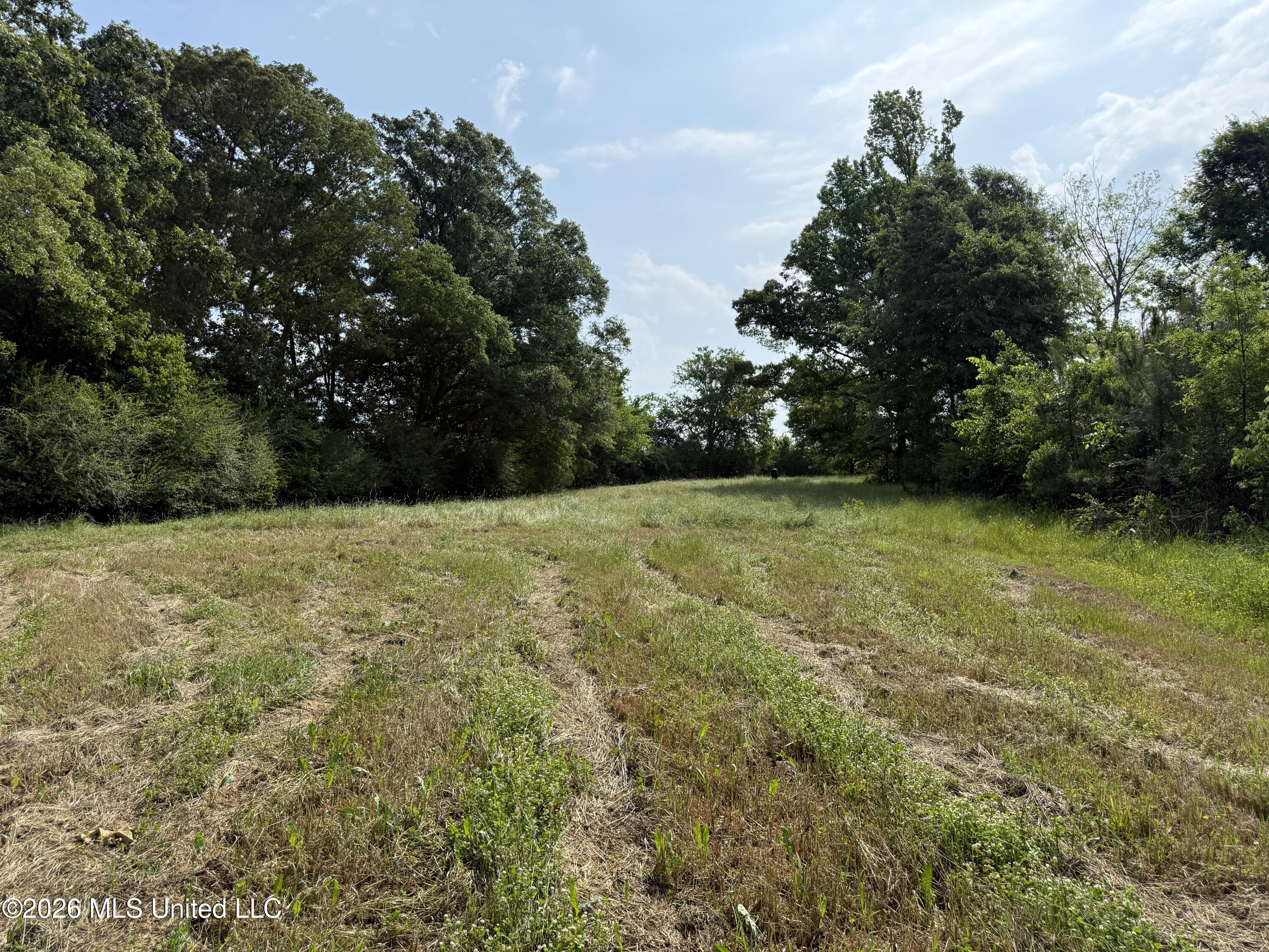 Scales Road Property Photo 16