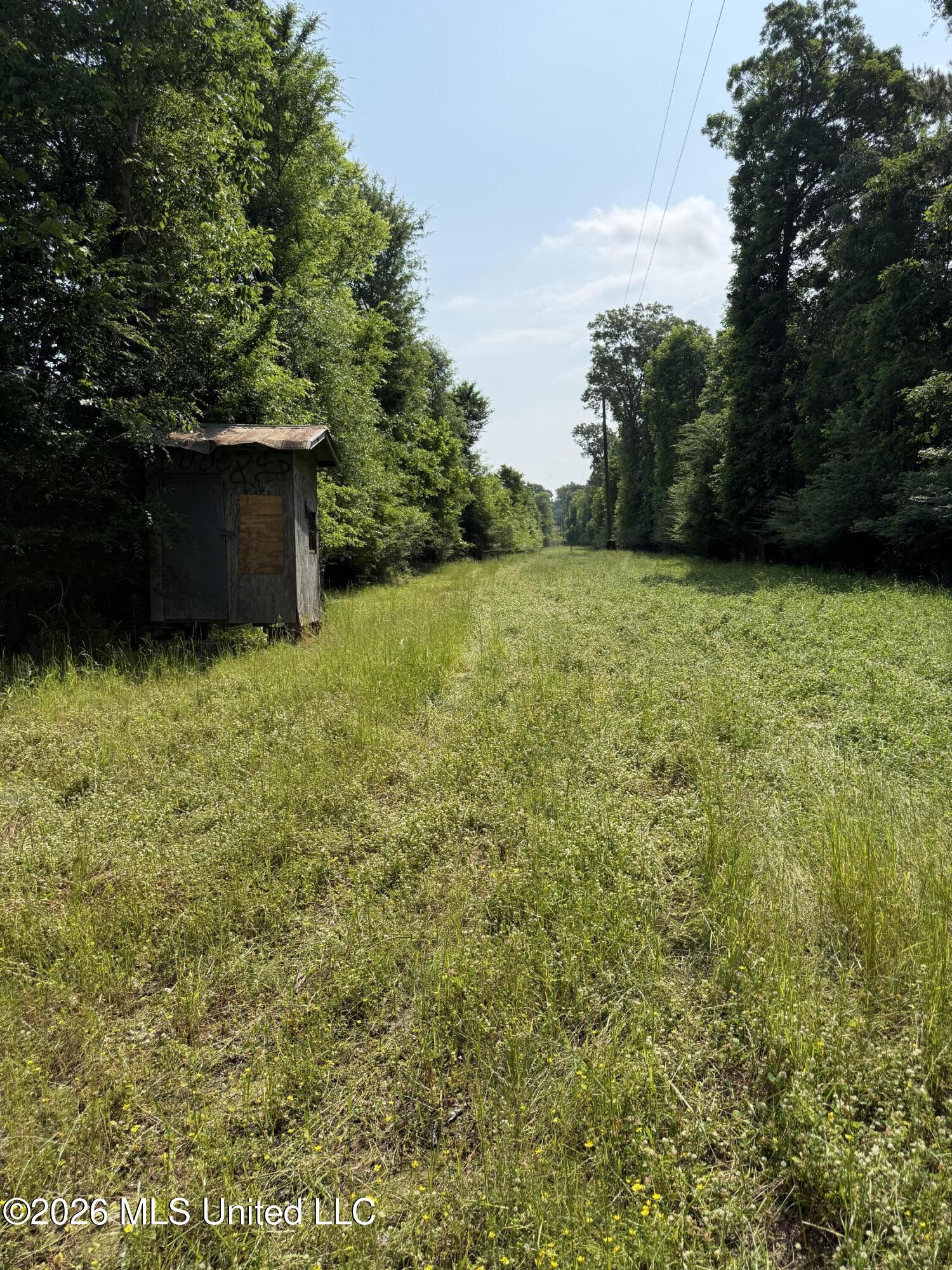 Scales Road Property Photo 17