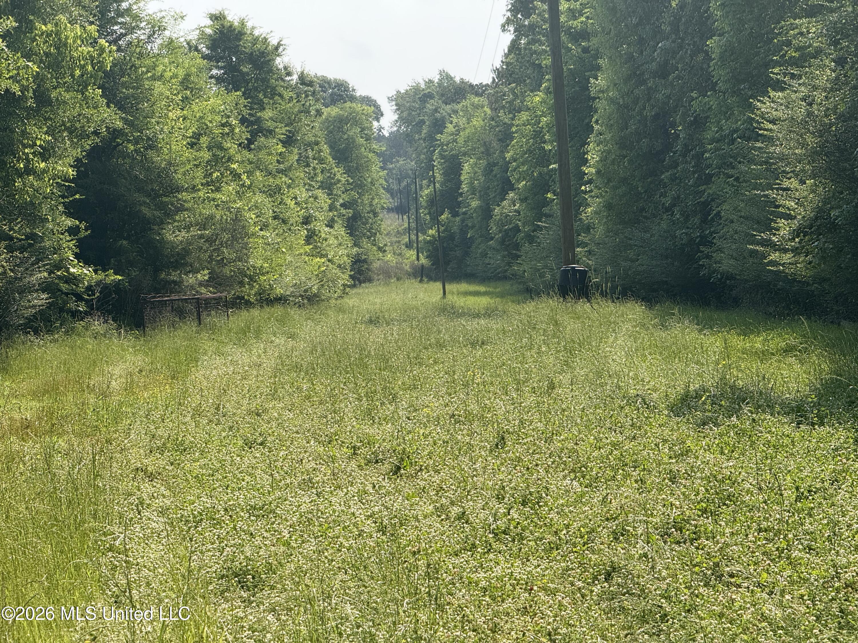 Scales Road Property Photo 18