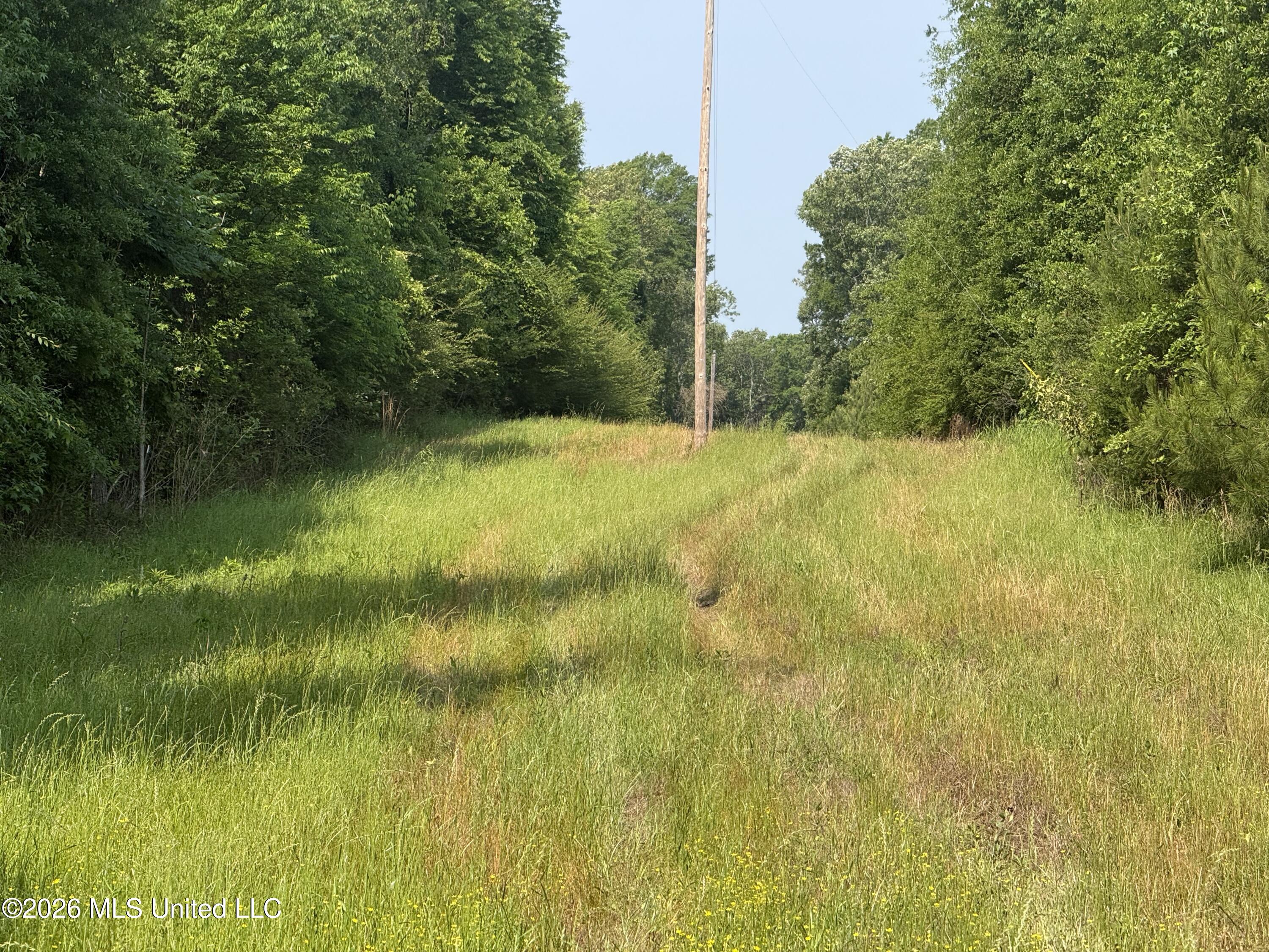Scales Road Property Photo 19
